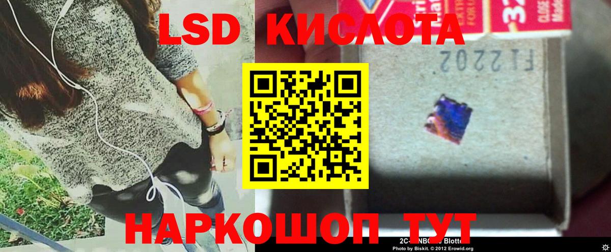 APVP Черняховск