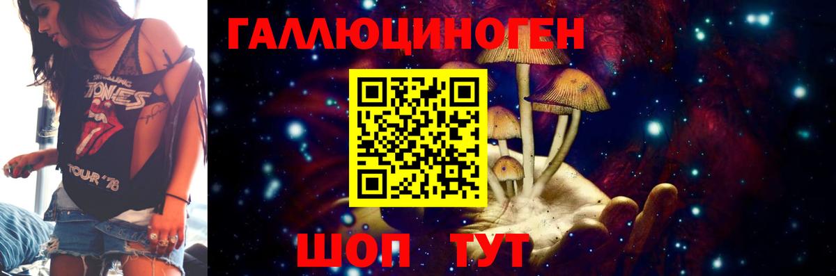 Псилоцибиновые грибы Psilocybine cubensis  Вход с VPN  Галлюциногенные грибы ЛСД  Черняховск 